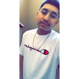 Meet your Posher, Oscar